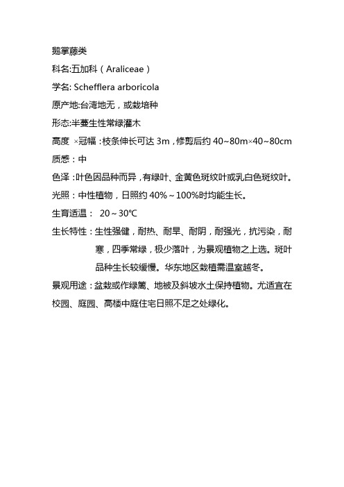 五加科.鹅掌藤类t
