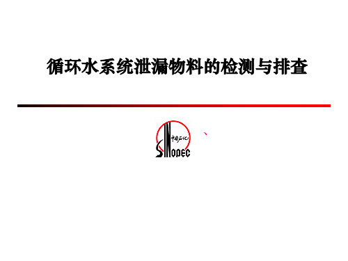 循环水查漏报告