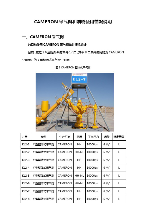 00、-CAMERON油嘴和采气树情况