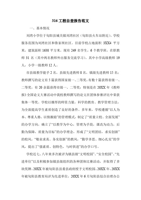 316工程自查报告范文.doc