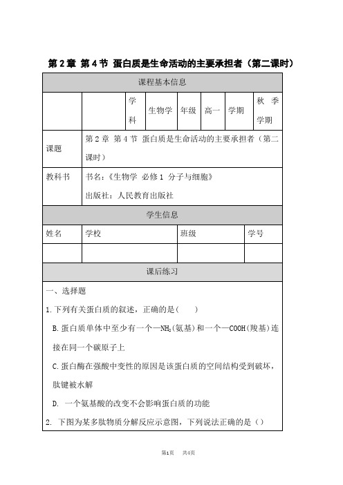 人教版高中生物必修第1册 蛋白质是生命活动的主要承担者(第二课时)-练习题