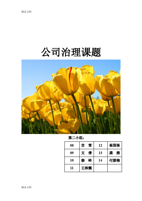 (整理)公司治理课题.