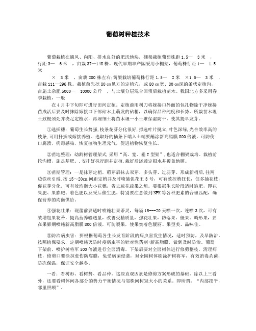 葡萄树种植技术