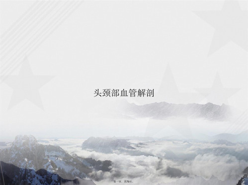 头颈部血管解剖讲课文档