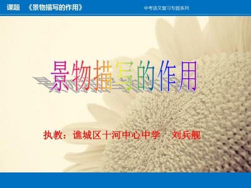 《景物描写的作用》