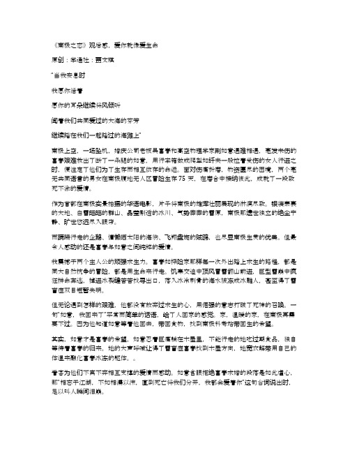 《南极之恋》观后感,爱你就像爱生命
