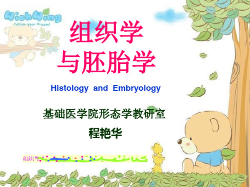 组织学与胚胎学-绪论-39页文档资料