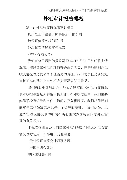 外汇审计报告模板