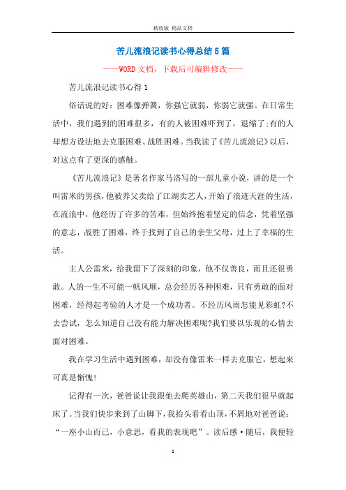 苦儿流浪记读书心得总结5篇