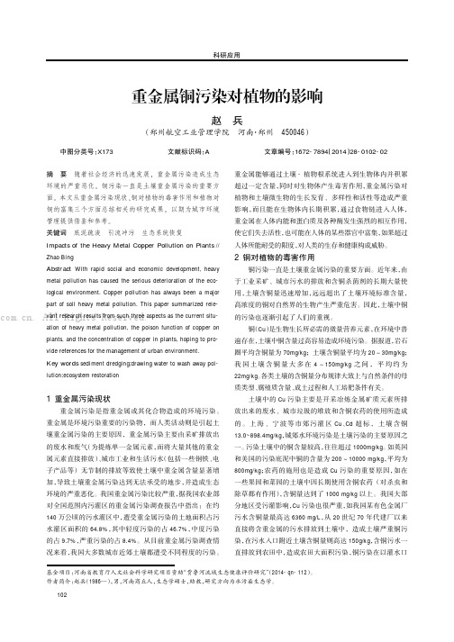 重金属铜污染对植物的影响