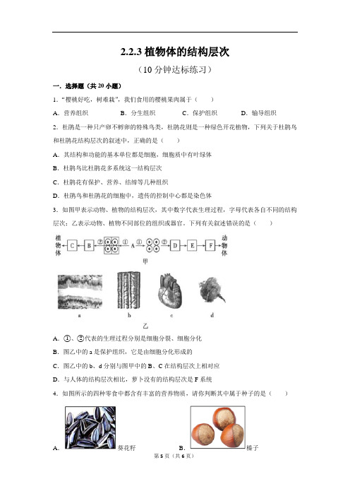 人教版生物七上2.2.3植物体的结构层次10分钟达标练习(原卷版)