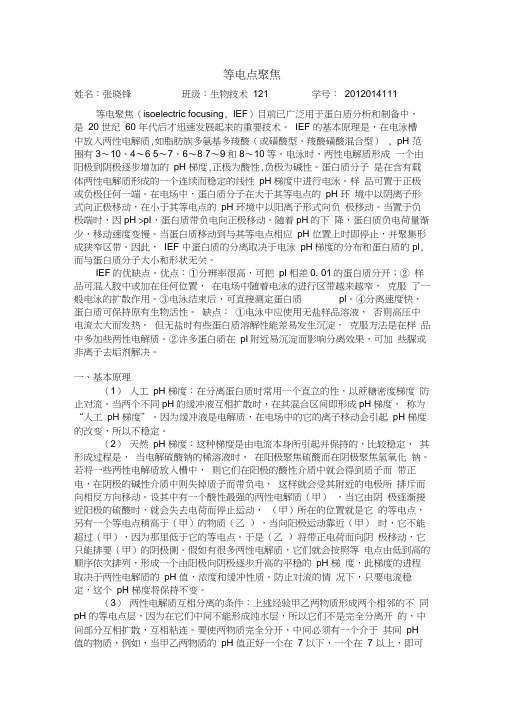 等电点聚焦