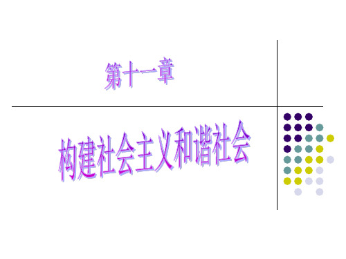 毛概课件-第十一章