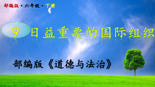 2020部编版道德与法治六年级下册第9课《日益重要的国际组织》,精品PPT,上课专用