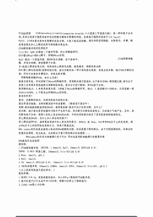 CTAB法原理