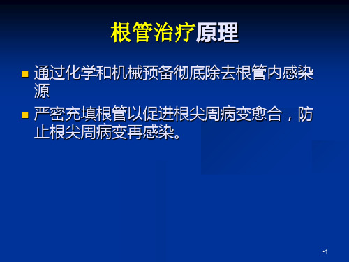 根管治疗基础演示PPT