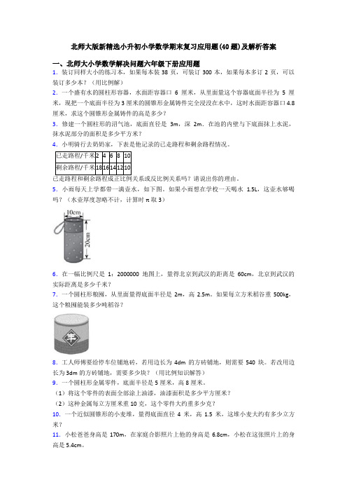 北师大版新精选小升初小学数学期末复习应用题(40题)及解析答案