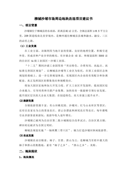 柳州柳城沙埔市场周边地块改造项目建议书(最终) 精品