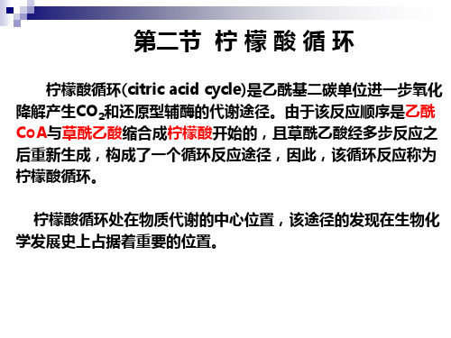 第八章 柠檬酸循环-2