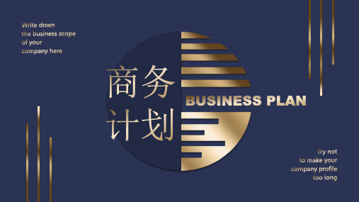 高档大气深蓝色烫金几何商务提案PPT模板