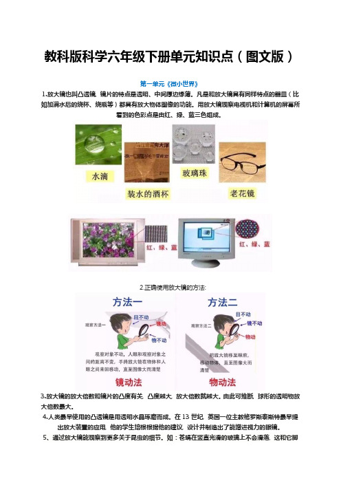 教科版科学六年级下册单元知识点(图文版)