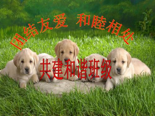 团结友爱道德讲堂