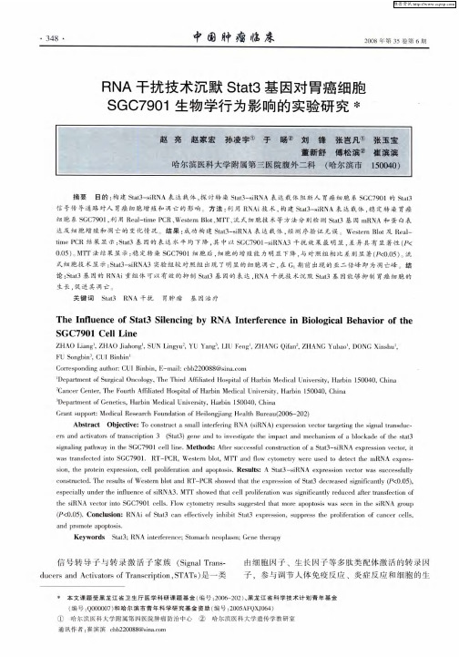RNA干扰技术沉默Stat3基因对胃癌细胞SGC7901生物学行为影响的实验研究