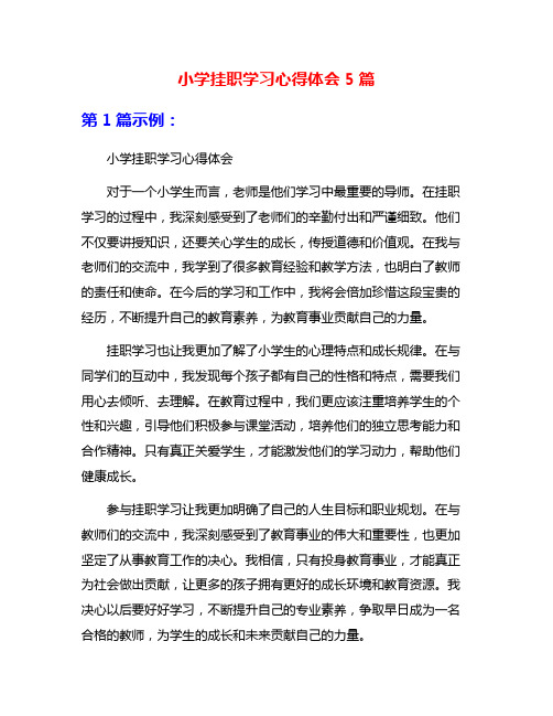 小学挂职学习心得体会5篇