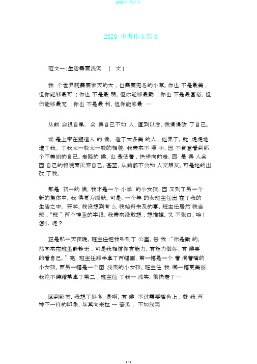 2020中考作文