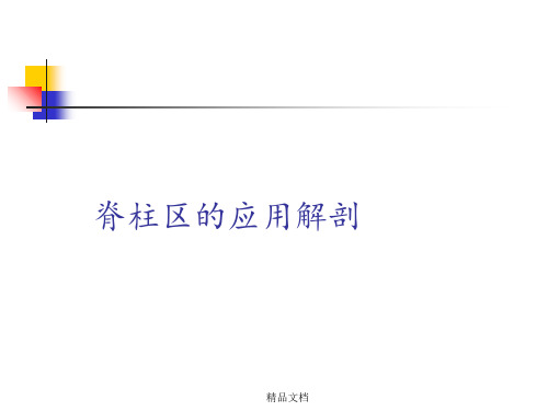脊柱区的应用解剖