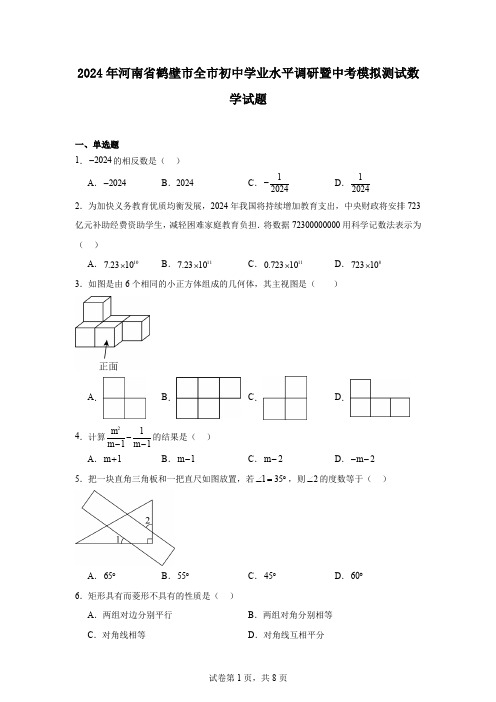 2024年河南省鹤壁市全市初中学业水平调研暨中考模拟测试数学试题