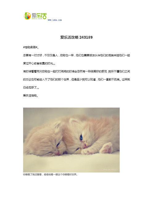 爱乐活攻略243189