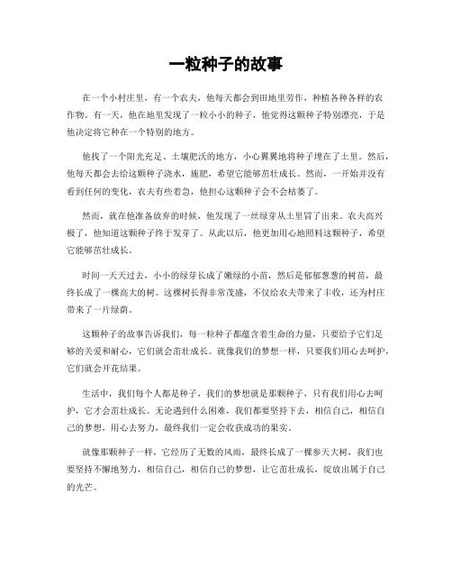 一粒种子的故事