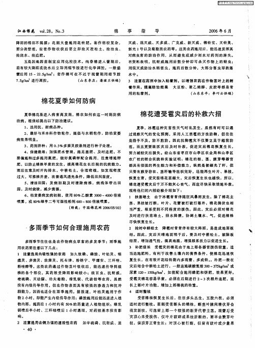 棉花遭受雹灾后的补救六招