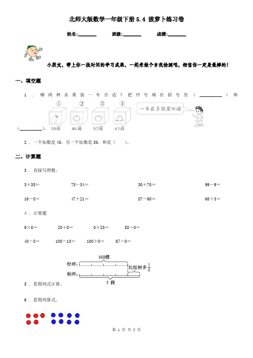北师大版数学一年级下册5.4 拔萝卜练习卷