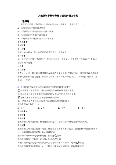 人教版初中数学命题与证明的图文答案
