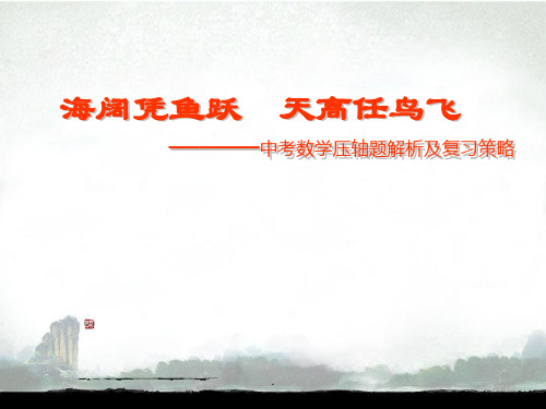 中考数学压轴题解析及复习策略课件