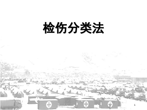 灾害现场检伤分类ppt课件