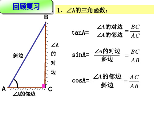 测量物体的高度(第一课时)