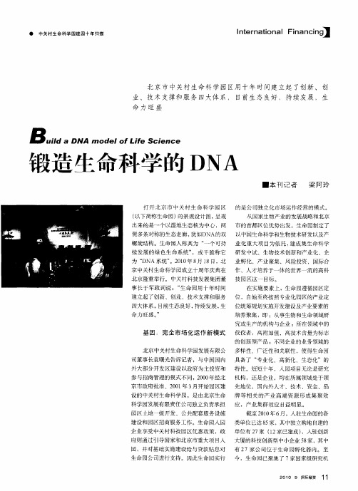 锻造生命科学的DNA