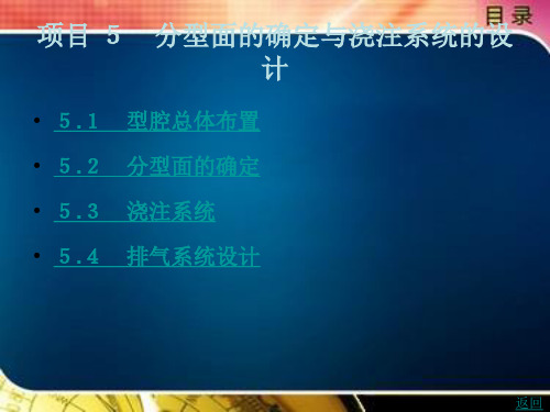 分型面的确定与浇注系统的设计