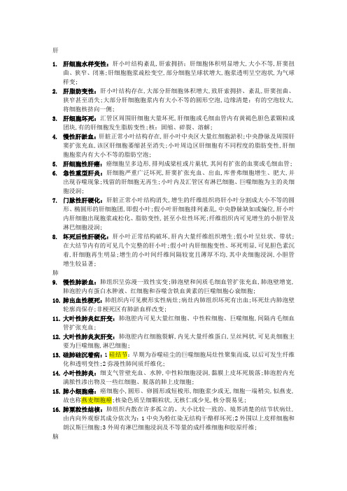 病理实习镜下描述