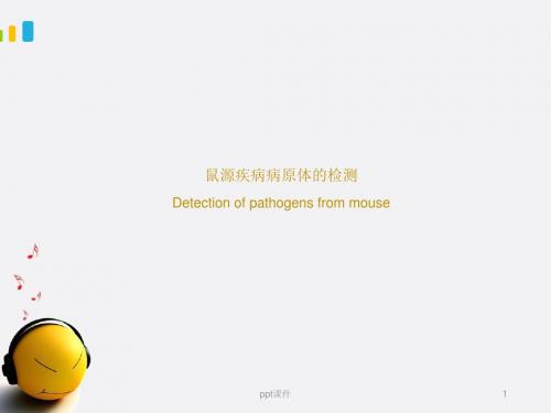 鼠传疾病及检测方法  ppt课件
