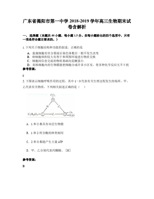 广东省揭阳市第一中学2018-2019学年高三生物期末试卷含解析