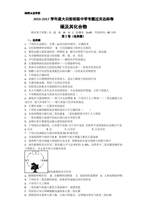 2017中考碳及其化合物专题练习及答案
