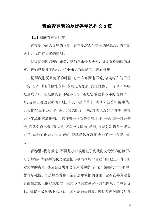 我的青春我的梦优秀精选作文3篇