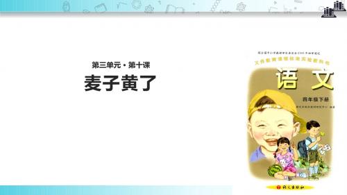 【309教育网优选】语文A版小学语文四年级下册《麦子黄了》教学课件