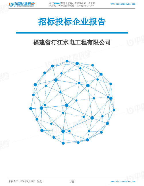 福建省汀江水电工程有限公司-招投标数据分析报告