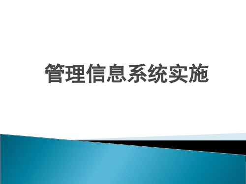 管理信息系统实施精品PPT课件