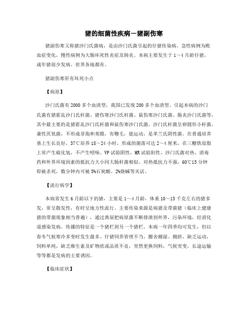 猪的细菌性疾病-猪副伤寒